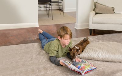 How to Keep Carpets Stain-Free Between Professional Cleanings